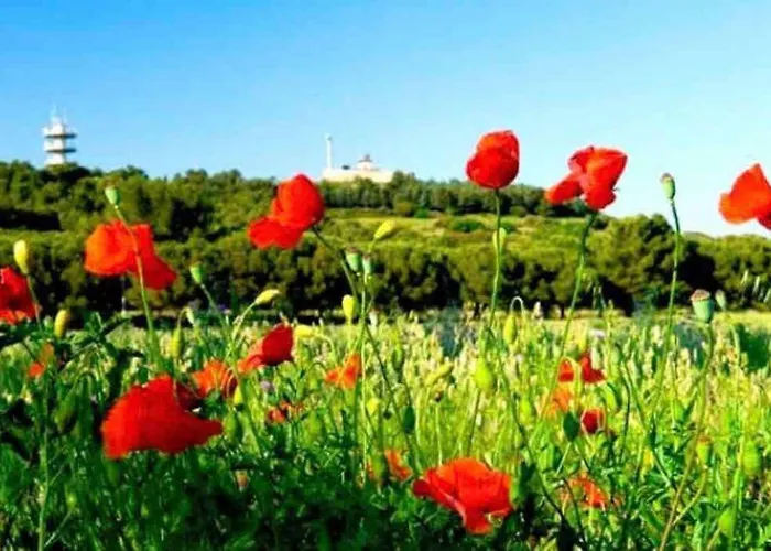 Lovicea Balneo Suite, 200m * Le Grau-dʼAgde